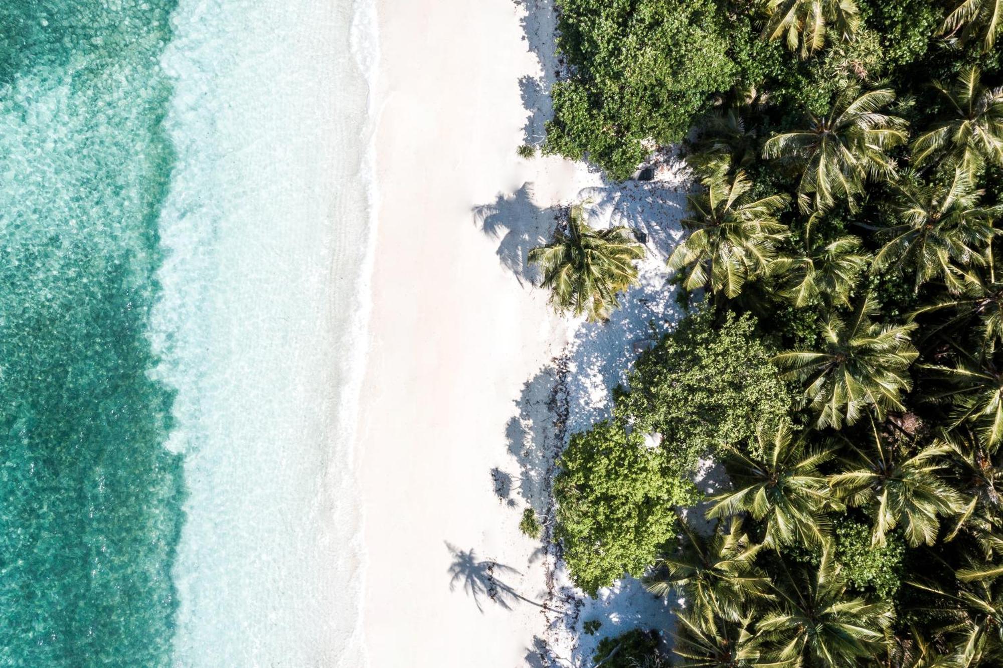 Tropical Tree Hotel Fehendhoo Екстериор снимка