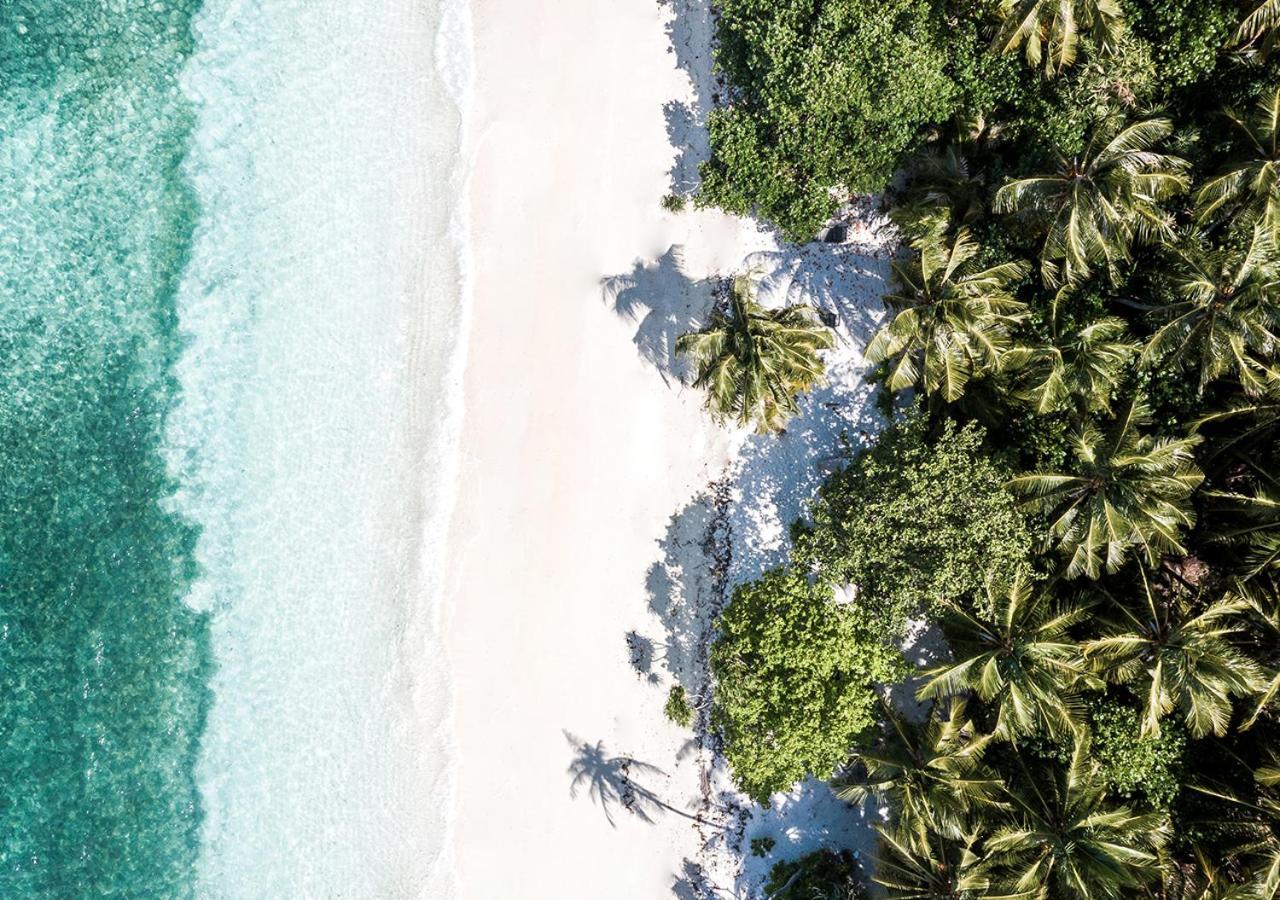 Tropical Tree Hotel Fehendhoo Екстериор снимка