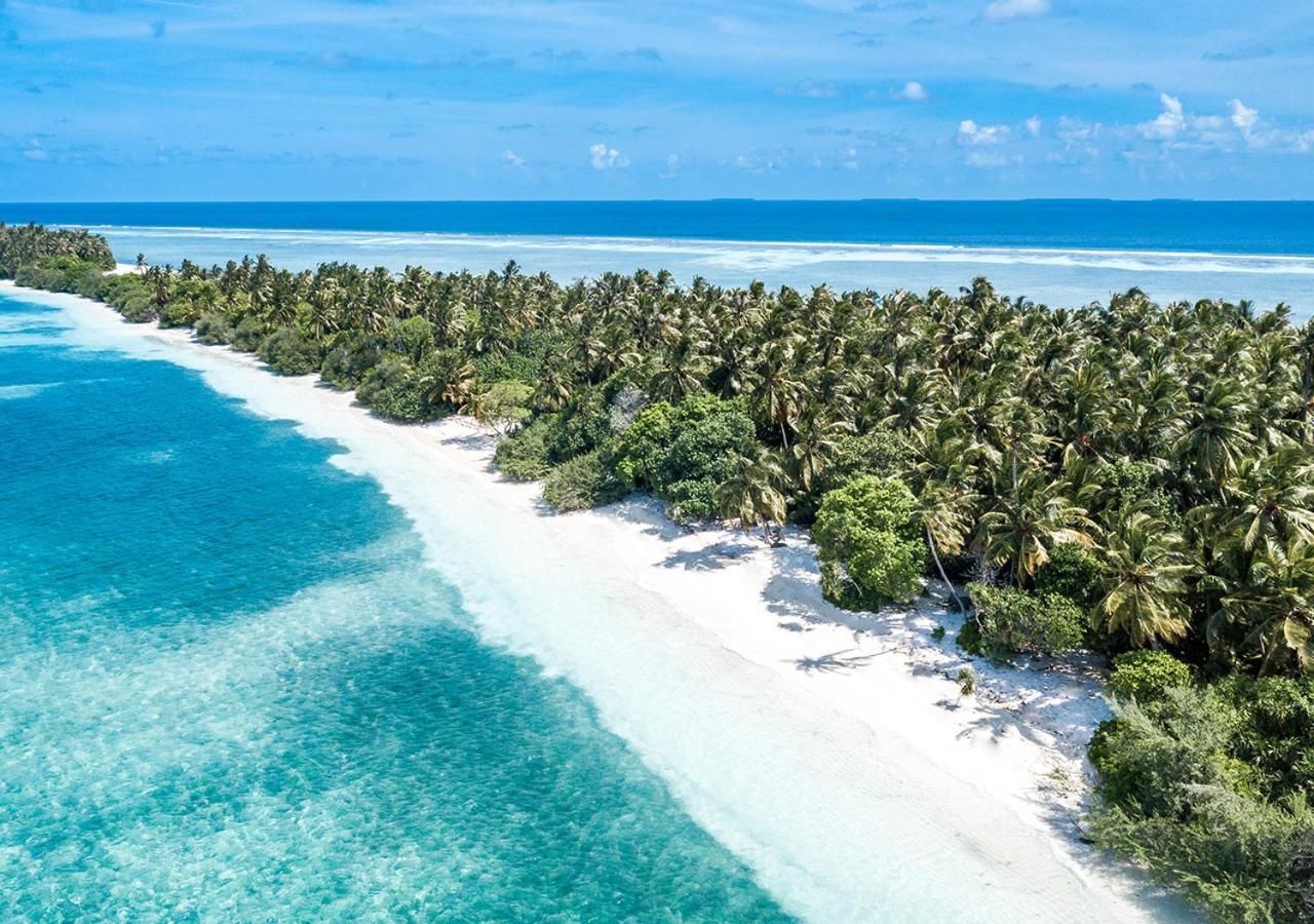 Tropical Tree Hotel Fehendhoo Екстериор снимка